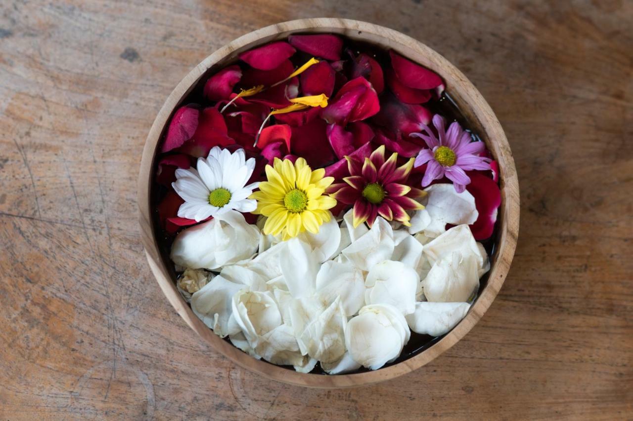 Ari Cottages Ubud Exteriér fotografie